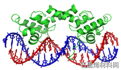 阿徹和阿德萊德大學(xué)開發(fā)基于石墨烯的生物傳感器