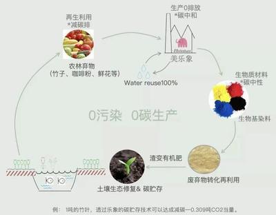 中國企業(yè)講述中國故事 | 從大自然中提取色彩,這家企業(yè)為何"孤注一擲"做生物基染料?