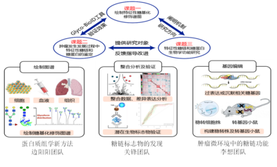 我校5人獲省杰青項(xiàng)目資助、4支團(tuán)隊(duì)入選省重點(diǎn)科技創(chuàng)新團(tuán)隊(duì)