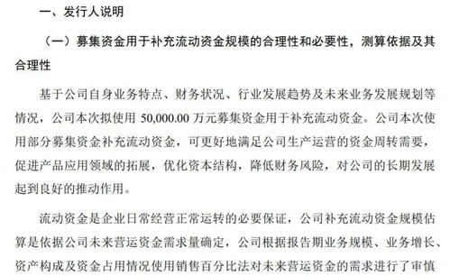2過2 這家企業(yè)因募投補(bǔ)流金額較大及可能轉(zhuǎn)變商業(yè)模式被重點(diǎn)關(guān)注