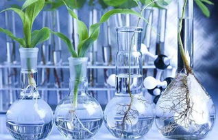 無處不在的化學 生物基材料技術(shù)研發(fā)的機遇與挑戰(zhàn)