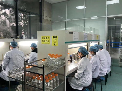 生物選考沖刺提分秘籍 高中生物實驗訓練營寒假開啟，助力未來生物基材料技術(shù)研發(fā)