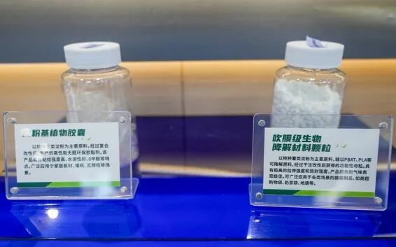 算力土豆 當生物基材料研發(fā)在臺州破土而出